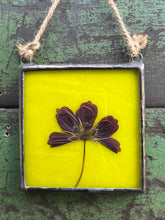 Load image into Gallery viewer, Single purple/pink cosmos flower with blue/green glass backing.
