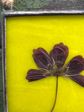 Load image into Gallery viewer, Close up - Single purple/pink cosmos flower with blue/green glass backing.
