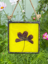 Load image into Gallery viewer, Single purple/pink cosmos flower with blue/green glass backing.
