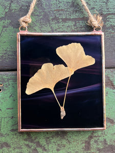 Single golden yellow gingko leaf with dark wispy purple/dark maroon glass backing