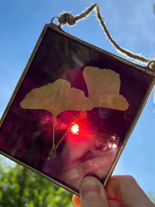 Art shown against sun to show dark maroon coloring - Single golden yellow gingko leaf with dark wispy purple/dark maroon glass backing