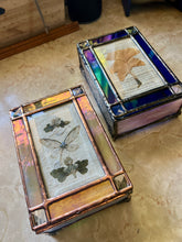 Load image into Gallery viewer, Cicada + Anemone Treasure Box
