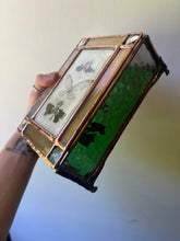 Load image into Gallery viewer, Cicada + Anemone Treasure Box
