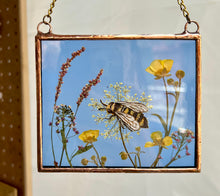 Load image into Gallery viewer, Bee + Wild Carrot

