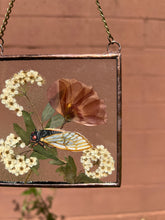 Load image into Gallery viewer, Cicada + Poppy
