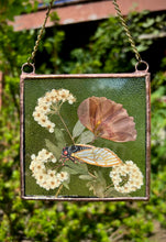 Load image into Gallery viewer, Cicada + Poppy

