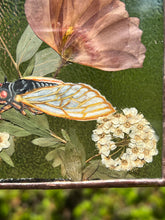 Load image into Gallery viewer, Cicada + Poppy
