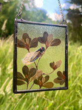 Load image into Gallery viewer, Cicada on Branch
