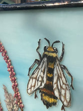 Load image into Gallery viewer, Bee + Cosmos
