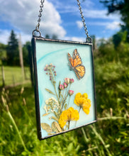 Load image into Gallery viewer, Monarch + Cosmos
