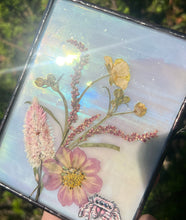 Load image into Gallery viewer, Jumping Spider + Cosmos + Wildflowers
