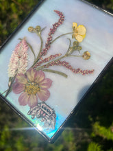 Load image into Gallery viewer, Jumping Spider + Cosmos + Wildflowers
