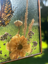 Load image into Gallery viewer, Swallowtail + Anemone
