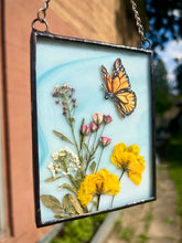 Load image into Gallery viewer, Monarch + Cosmos
