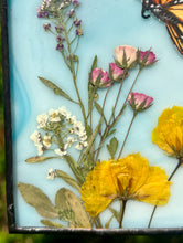 Load image into Gallery viewer, Monarch + Cosmos
