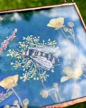 Load image into Gallery viewer, Bee + Wild Carrot

