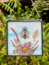 Load image into Gallery viewer, Bee + Cosmos
