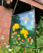 Load image into Gallery viewer, Swallowtail + Cosmos
