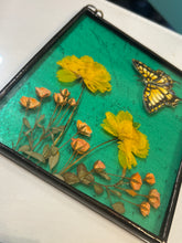 Load image into Gallery viewer, Swallowtail + Cosmos
