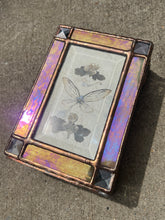 Load image into Gallery viewer, Cicada + Anemone Treasure Box
