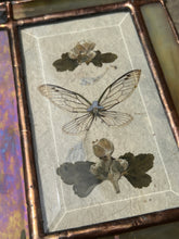 Load image into Gallery viewer, Cicada + Anemone Treasure Box
