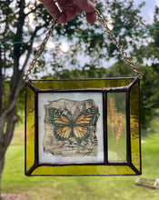 Load image into Gallery viewer, Monarch + Wild Rye
