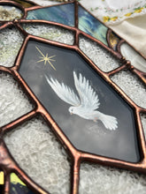 Load image into Gallery viewer, Observation, appearance
