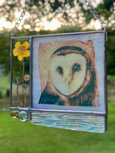 Load image into Gallery viewer, Barn Owl + Buttercup
