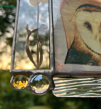 Load image into Gallery viewer, Barn Owl + Buttercup
