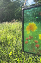 Load and play video in Gallery viewer, Swallowtail + Cosmos
