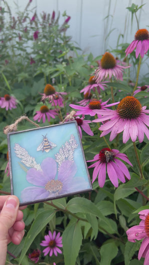 Video of artwork that begins with piece and moves to show real honeybee pollinating a purple coneflower - Alternate view - Honeybee painted in gouache on paper with wildflower grasses and  purple/pink cosmos flower with blue/green glass backing. Square shape with twine hanging.