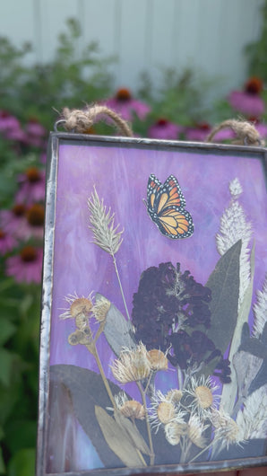 Video - Painted monarch butterfly in gouache on paper with pressed butterfly bush flower, aster, and wild grasses with iridescent wispy pink glass backing. Rectangle shape with twine hanging.