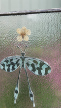 Load and play video in Gallery viewer, Video - Painted blue spoon-winged antlion in gouache on paper with pressed plum tree flower and “111”(intuition) cut from vintage textbook with clear textured glass backing. Vertical rectangle shaped artwork with twine hanging.
