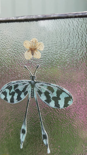 Video - Painted blue spoon-winged antlion in gouache on paper with pressed plum tree flower and “111”(intuition) cut from vintage textbook with clear textured glass backing. Vertical rectangle shaped artwork with twine hanging.