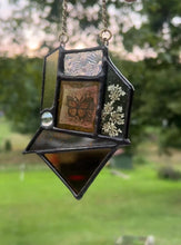 Load and play video in Gallery viewer, Monarch - Mini
