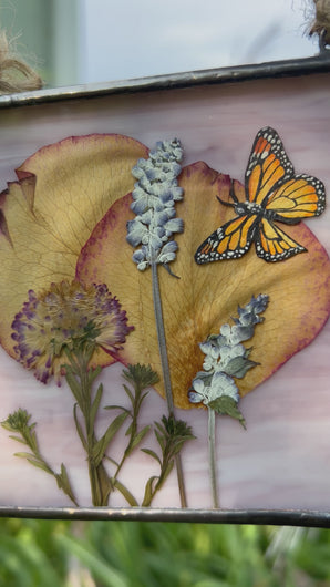 Video showing piece - Monarch butterfly painted in gouache on paper with rose petals, lavender, and purple clover with solid wispy light purple glass backing. Square shaped artwork with twine hanging at top.