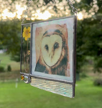 Load and play video in Gallery viewer, Barn Owl + Buttercup
