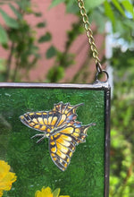 Load and play video in Gallery viewer, Swallowtail + Cosmos
