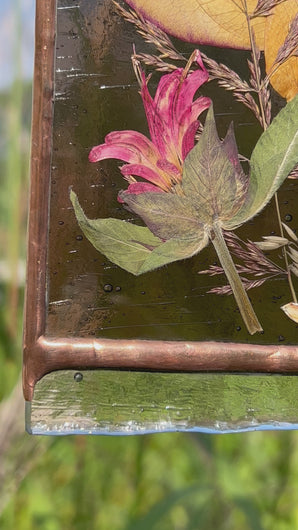 Video - Painted snail in gouache on paper with ressed rose petals, bee balm, and wild grasses with dark purple glass backing and glass end on bottom to mimic SNAIL SLIME. Rectangle shape with gold hanging chain.