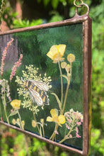 Load and play video in Gallery viewer, Bee + Wild Carrot
