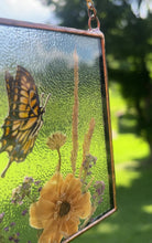 Load and play video in Gallery viewer, Swallowtail + Anemone
