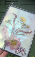 Load and play video in Gallery viewer, Jumping Spider + Cosmos + Wildflowers
