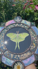 Load and play video in Gallery viewer, Video - Gouache on paper, and flora set between glass with iridescent glass border in cool tones and bevels. Medallion shape with three rungs - center is painted green Luna moth on black background (circle shape), second ring is segmented circle of pressed gypsophila in clear glass, third and outer ring consists of alternating blue iridescent glass, circles with pressed flowers, and diamond bevels.
