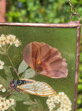Load and play video in Gallery viewer, Cicada + Poppy
