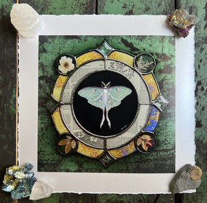 Luna moth medallion print. Luna moth is in central circle on black background with segmented border of vintage book pages. Third and outermost rung is gold mirror with bronze flecks, pressed wildflowers, and glass bevels in alternating border. 8x8" reproduction giclée print of Vintage Luna with a 1.25" deckled edge border