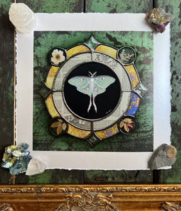Luna moth medallion print. Luna moth is in central circle on black background with segmented border of vintage book pages. Third and outermost rung is gold mirror with bronze flecks, pressed wildflowers, and glass bevels in alternating border. 8x8" reproduction giclée print of Vintage Luna with a 1.25" deckled edge border