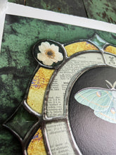 Load image into Gallery viewer, Top left of s Japanese anemone inclusion in circle segment of outer border - Luna moth medallion print. Luna moth is in central circle on black background with segmented border of vintage book pages. Third and outermost rung is gold mirror with bronze flecks, pressed wildflowers, and glass bevels in alternating border. 12x12&quot; reproduction giclée print of Vintage Luna with a 1.25&quot; deckled edge border
