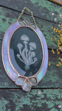 Load and play video in Gallery viewer, Video - Gouache and holographic powder on paper with pressed wild mushroom, fern, and cosmos flowers set between pink rainbow iridescent glass
