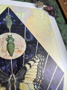 Angled close up to show metallic shine - Swallowtail Life cycle depicts full grown swallowtail, larvae, and cocoon in vertical row. Blue/purple and metallic hand dyed background in geometrical shape (pointed top, angled sides, flat bottom). Artwork is on yellow iridescent glass to mimic original piece. 11x14" reproduction giclée print of Swallowtail Life Cycle with a 1.25" deckled edge border