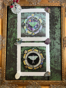 Comparison of vintage Luna moth and galaxy Luna moth prints. Luna moth medallion print. Luna moth is in central circle on black background with segmented border of vintage book pages. Third and outermost rung is gold mirror with bronze flecks, pressed wildflowers, and glass bevels in alternating border. 8x8" reproduction giclée print of Vintage Luna with a 1.25" deckled edge border